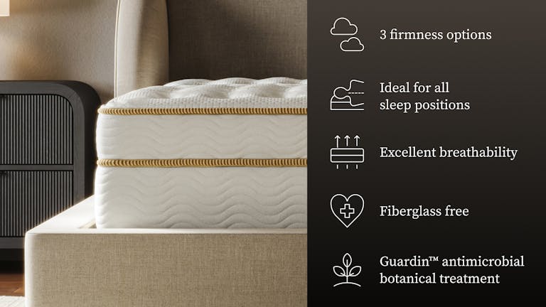 Digital Thumbnail - Elegant Mattress and Spine
